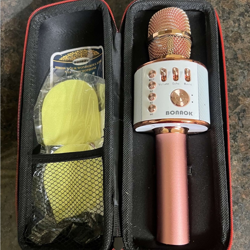 Karaoke microphone